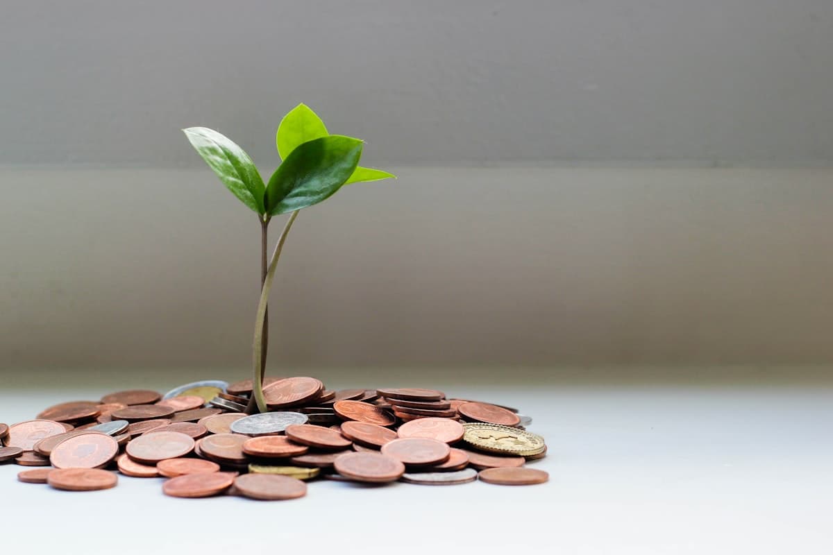 DCA - Dollar Cost Averaging: czy regularne kupowanie zawsze się opłaca?